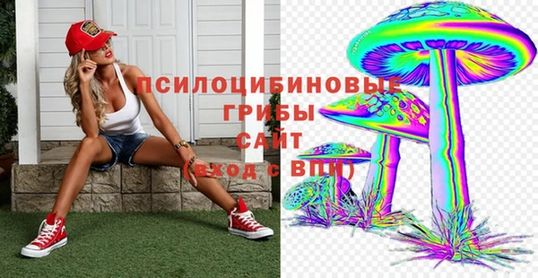 твердый Бородино